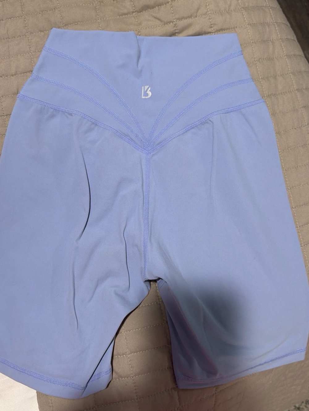 BuffBunny Lavender High-Rise Bike Shorts